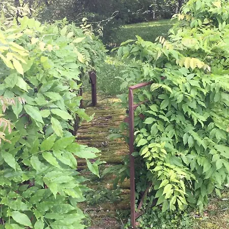 Casa vacanze Le Moulin Du Château Lagrézette *